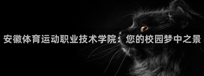 vsport体育官方正版app娱乐是那个系列的台子:安徽体育