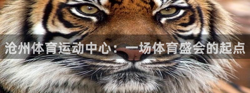 vsport体育官网下载联系电话:沧州体育运动中心:一场体育