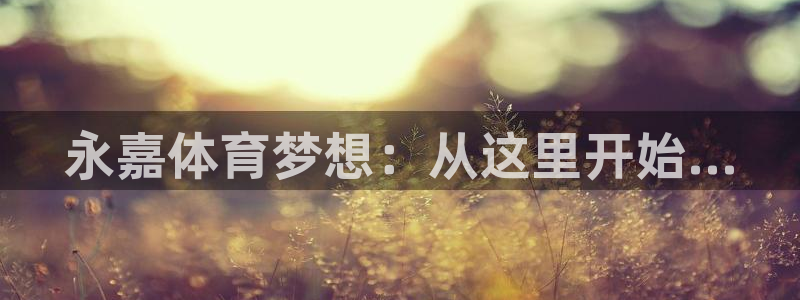 vsport体育官网下载平台假的吗是真的吗:永嘉体育梦想:从